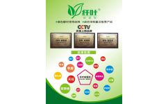 纖葉硅藻泥服務商 武漢創唯美環保科技